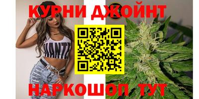 гидра Свободный