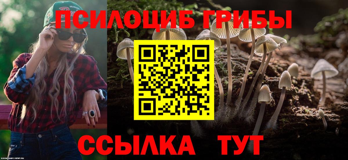Псилоцибиновые грибы прущие грибы  Галлюциногенные грибы ЛСД  Сальск  Вход с VPN 